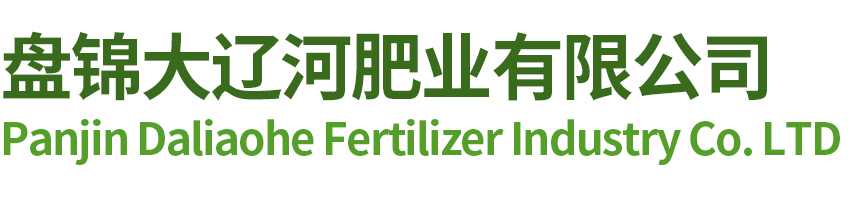 nba直播
